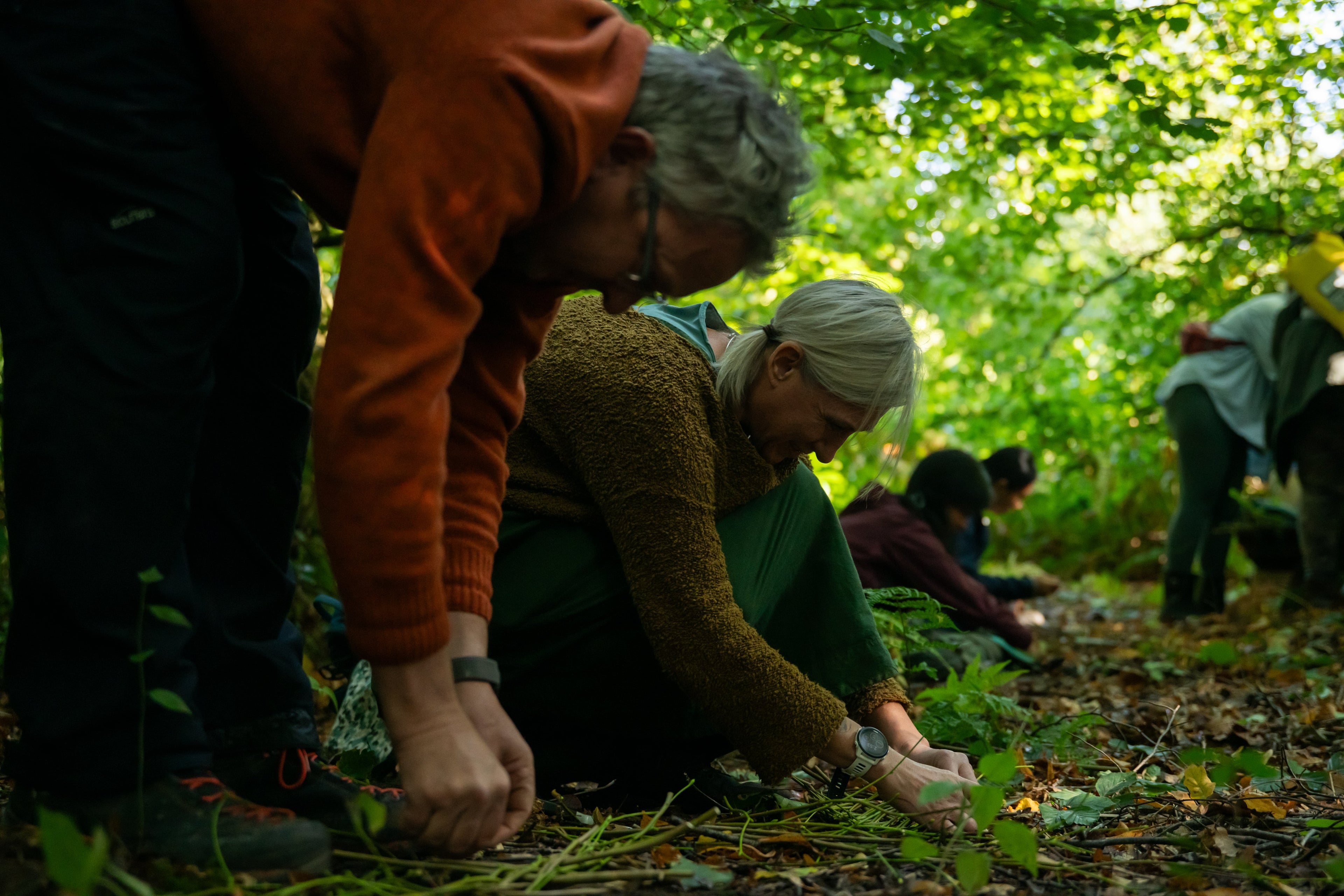 Workshops and Tuition