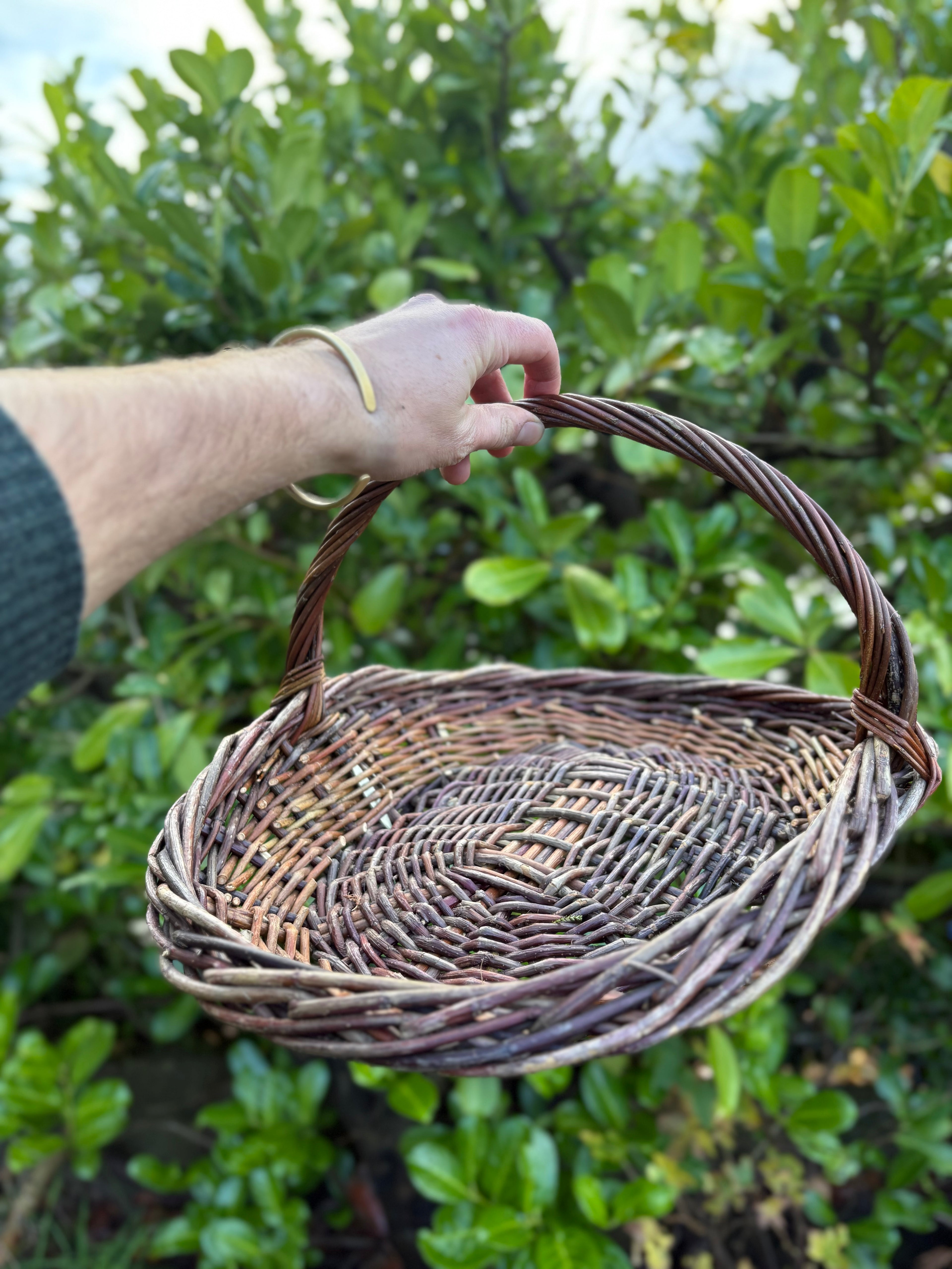 Dogwood and willow trug
