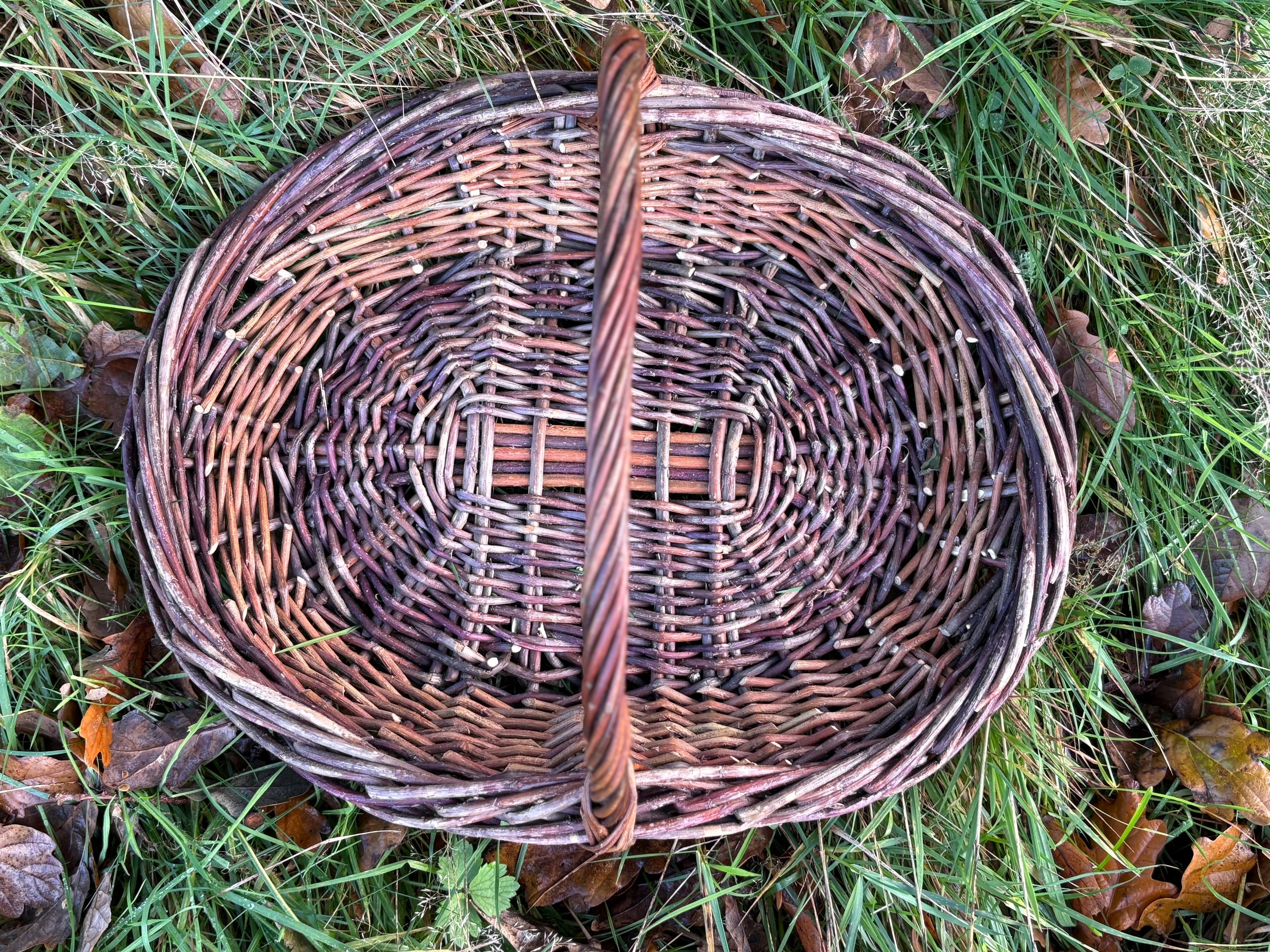 Dogwood and willow trug