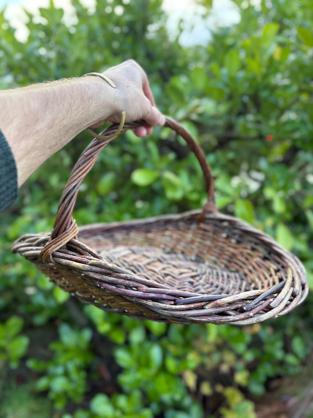 Dogwood and willow trug