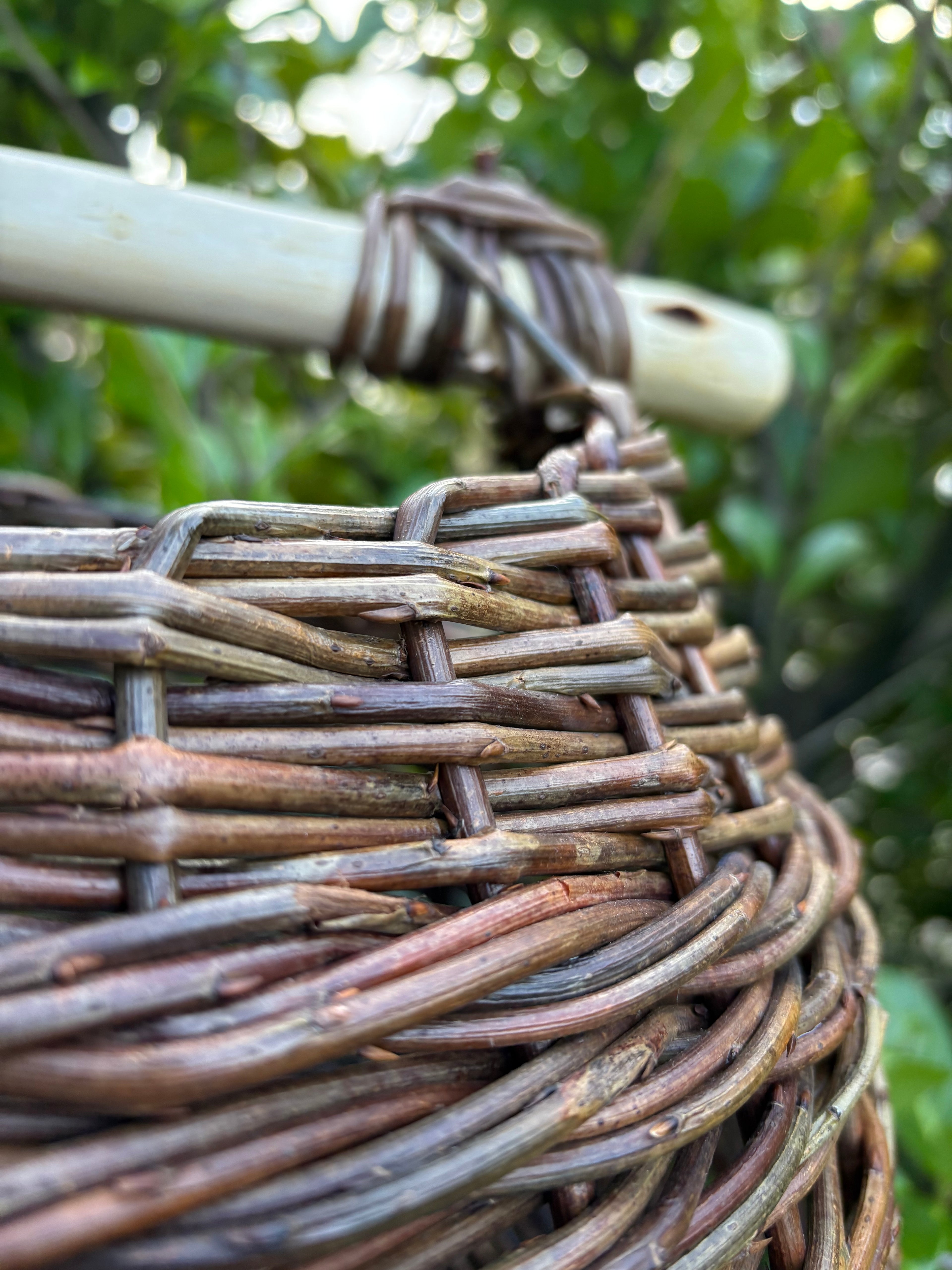 Curvy asymmetric foraging basket
