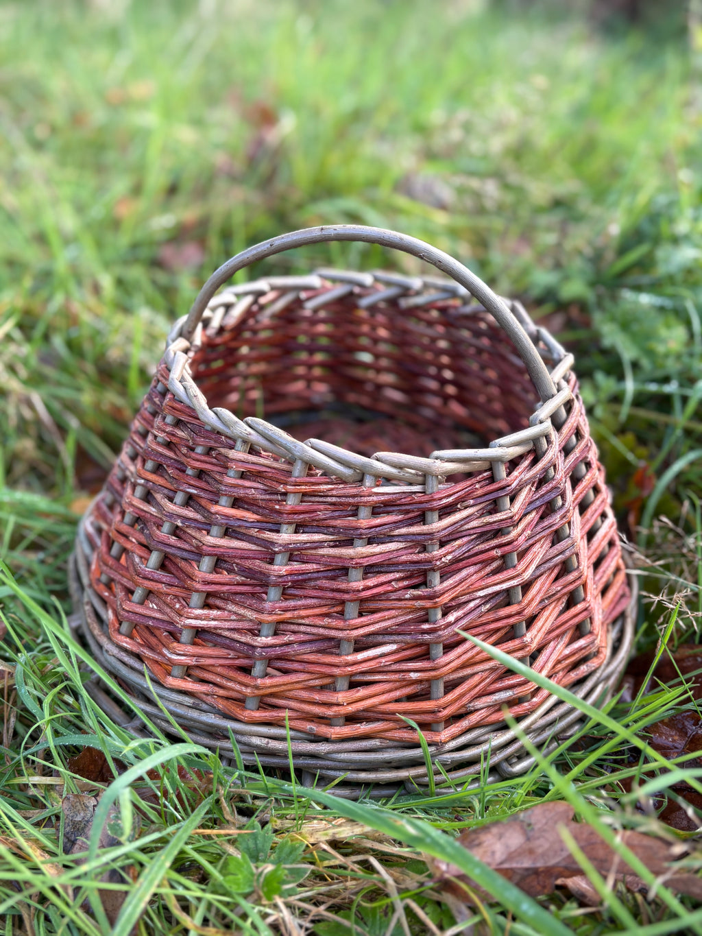 6-week Beginners Basketry Course: Autumn 2026