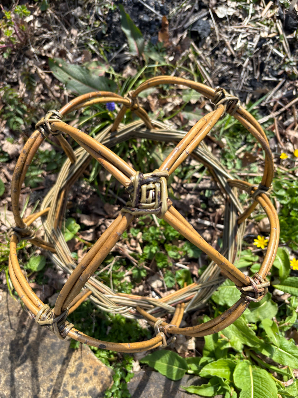 Peony crowns