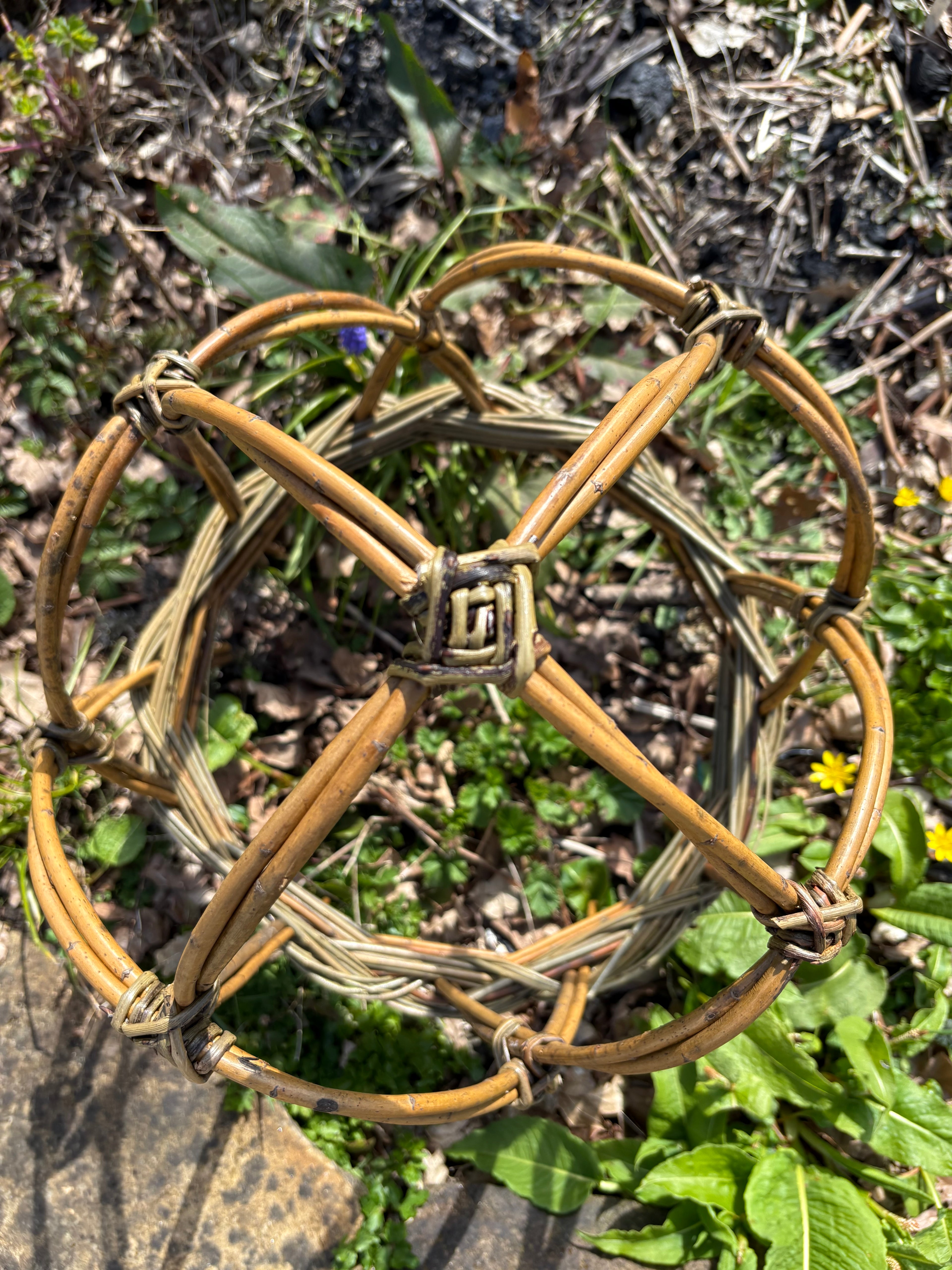 Peony crowns