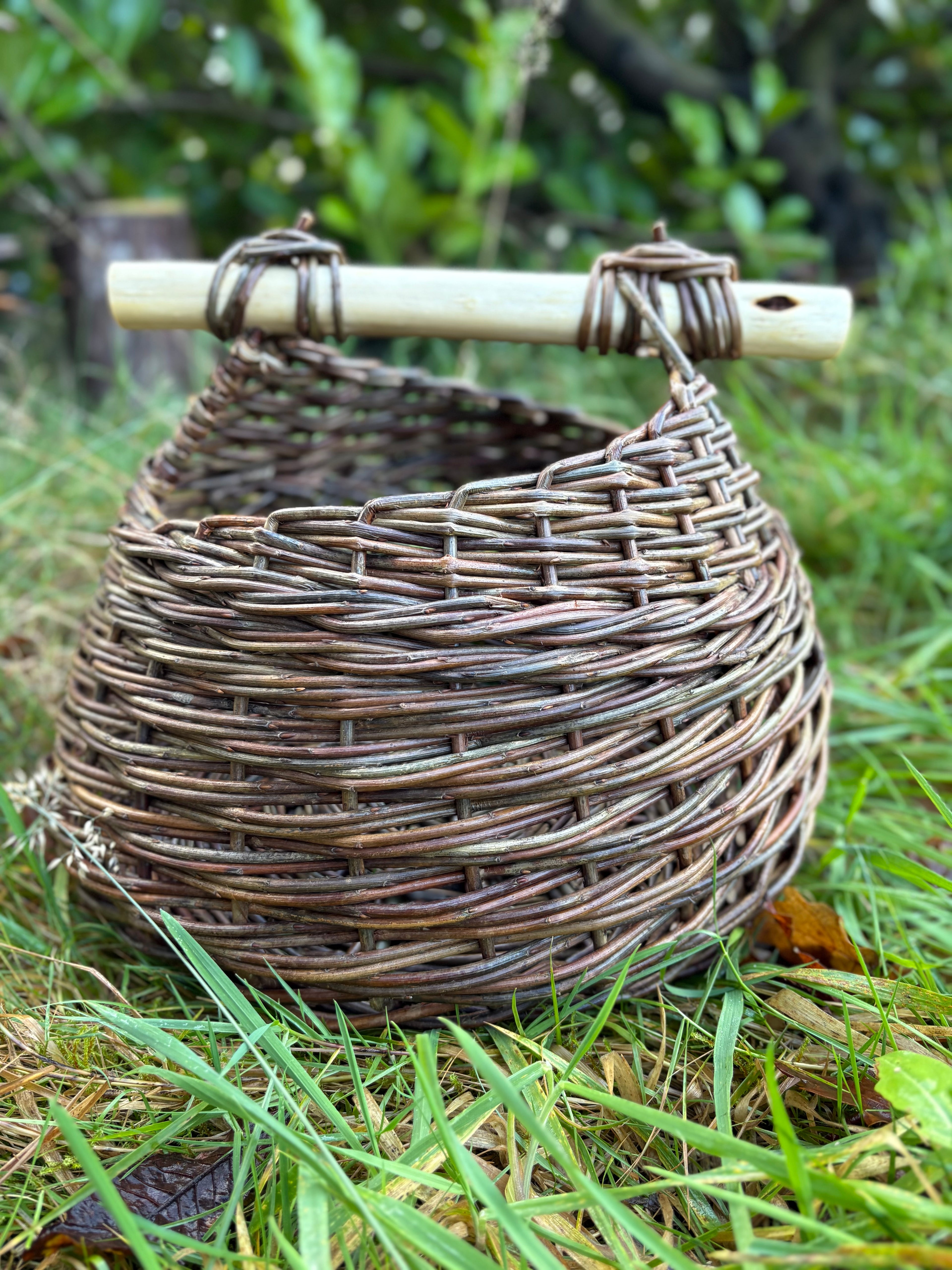 Curvy asymmetric foraging basket