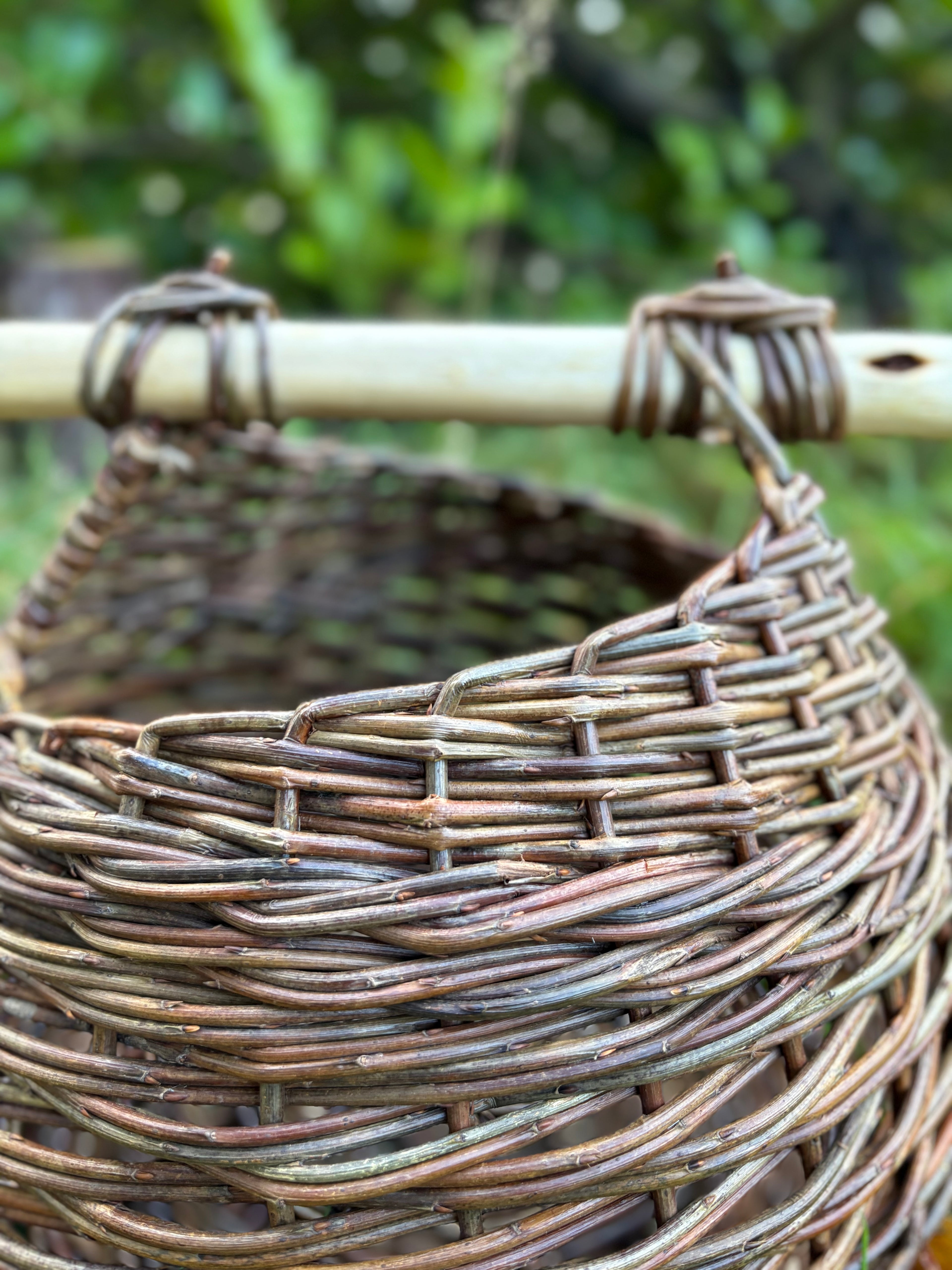 Curvy asymmetric foraging basket