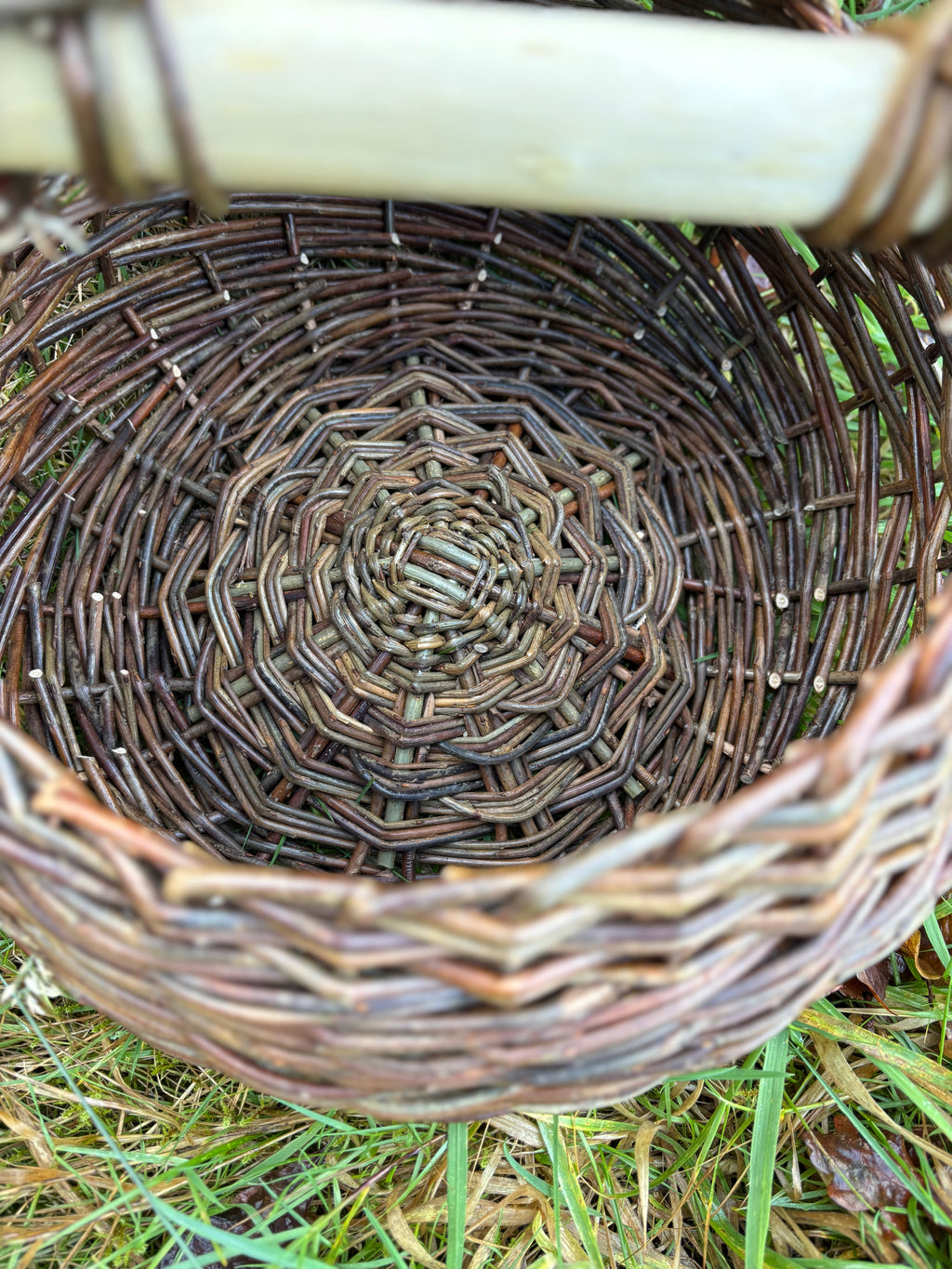 Curvy asymmetric foraging basket