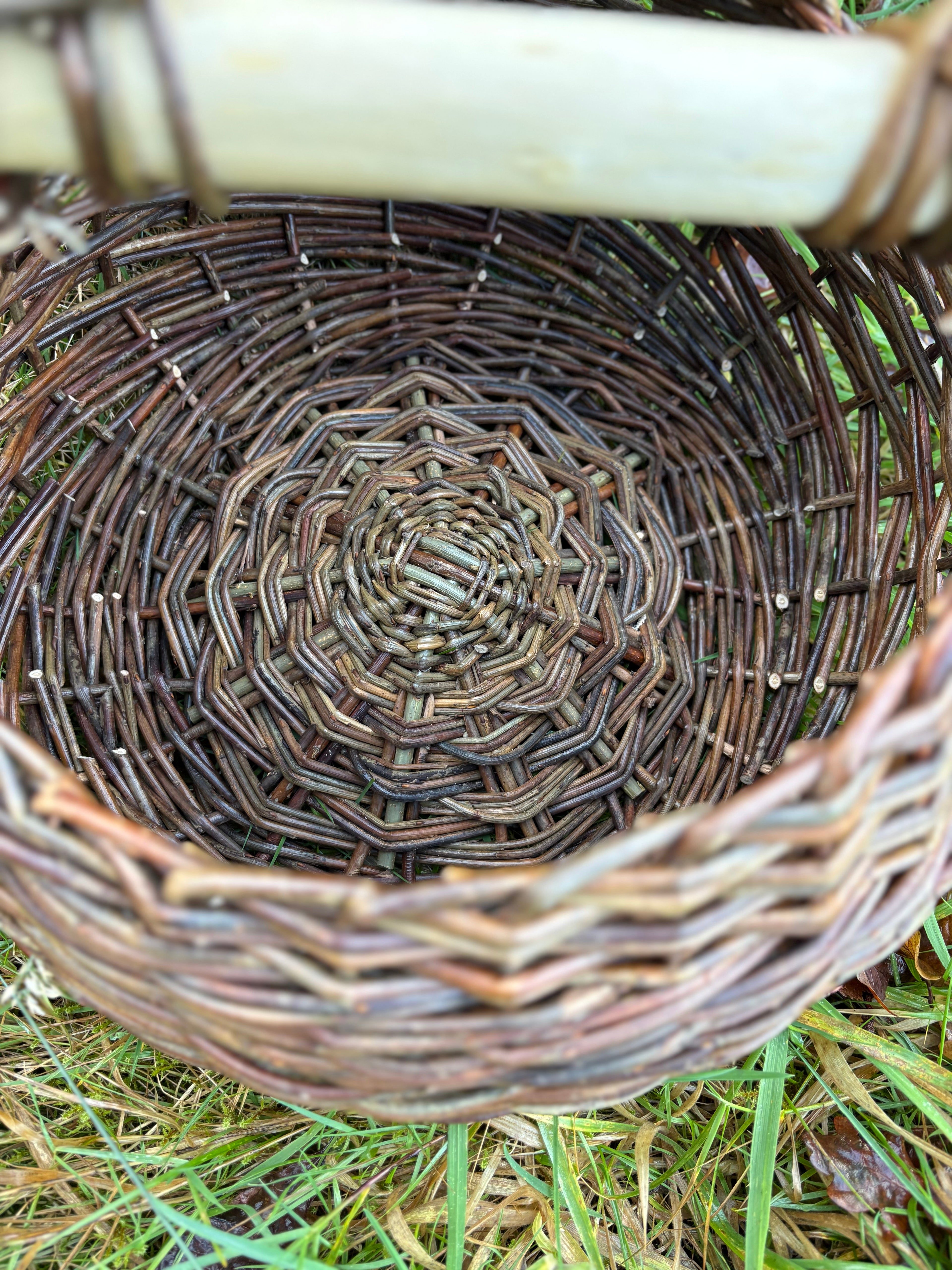 Curvy asymmetric foraging basket