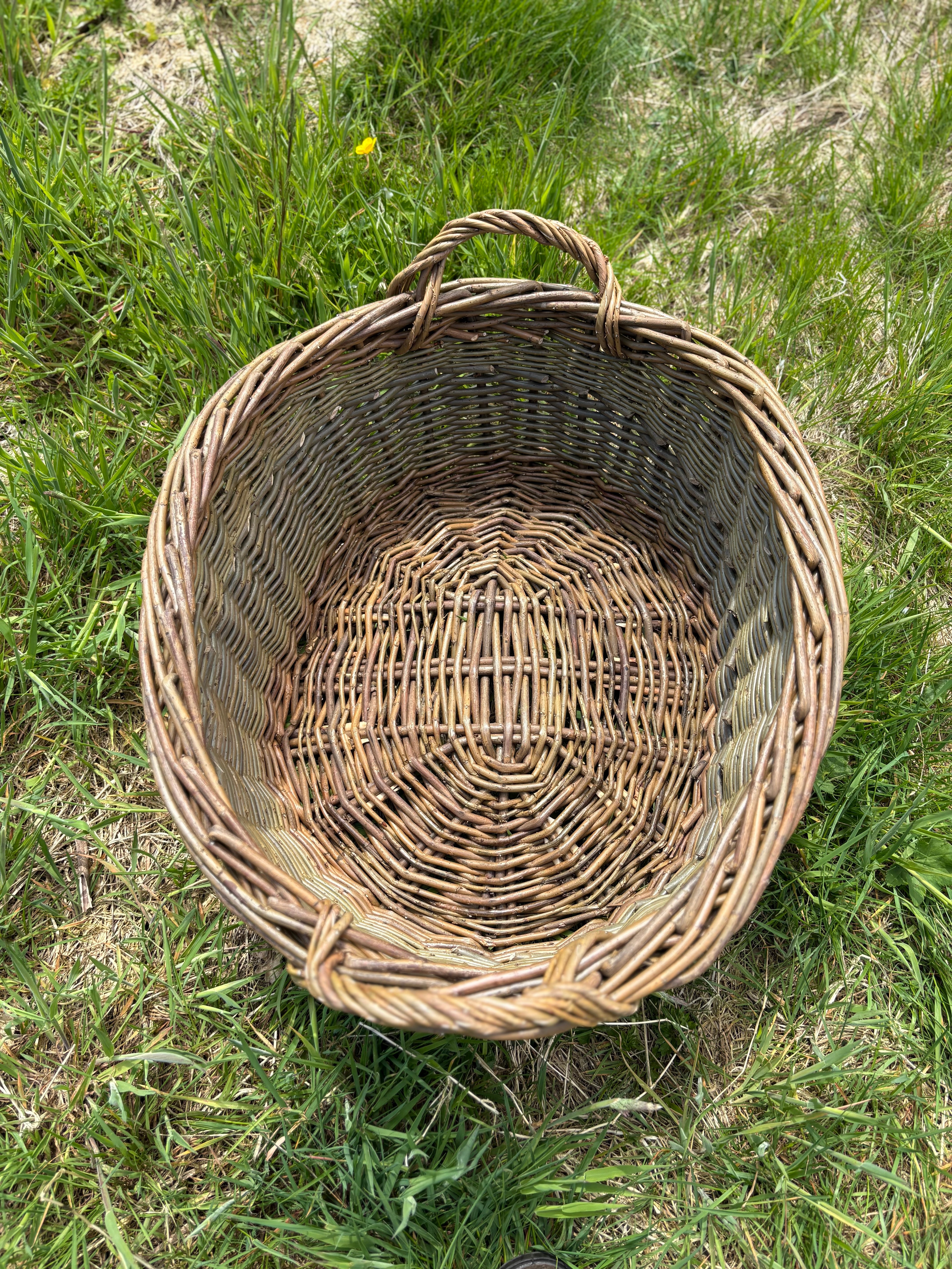 Laundry Basket