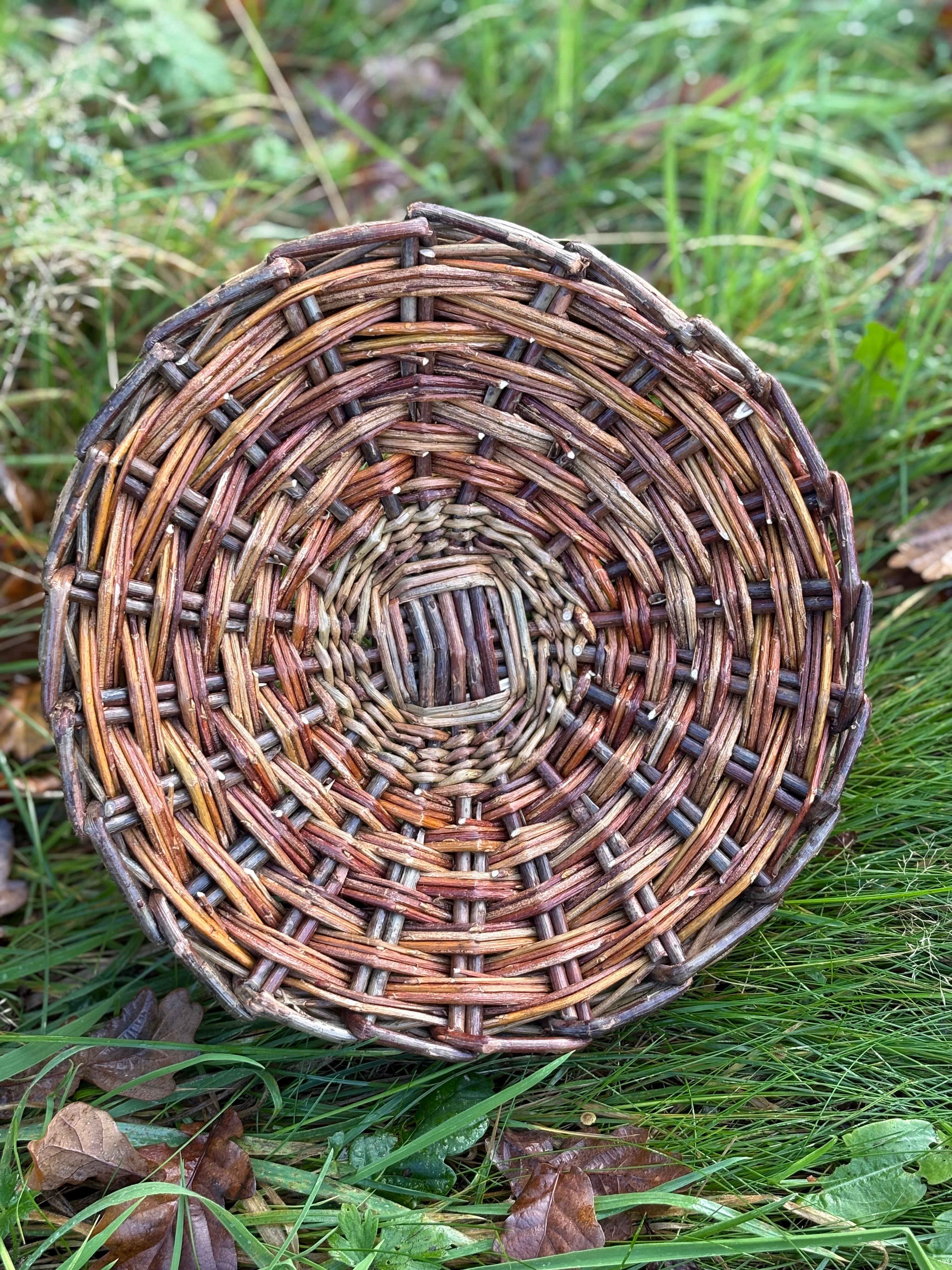 Berry/egg/peg basket