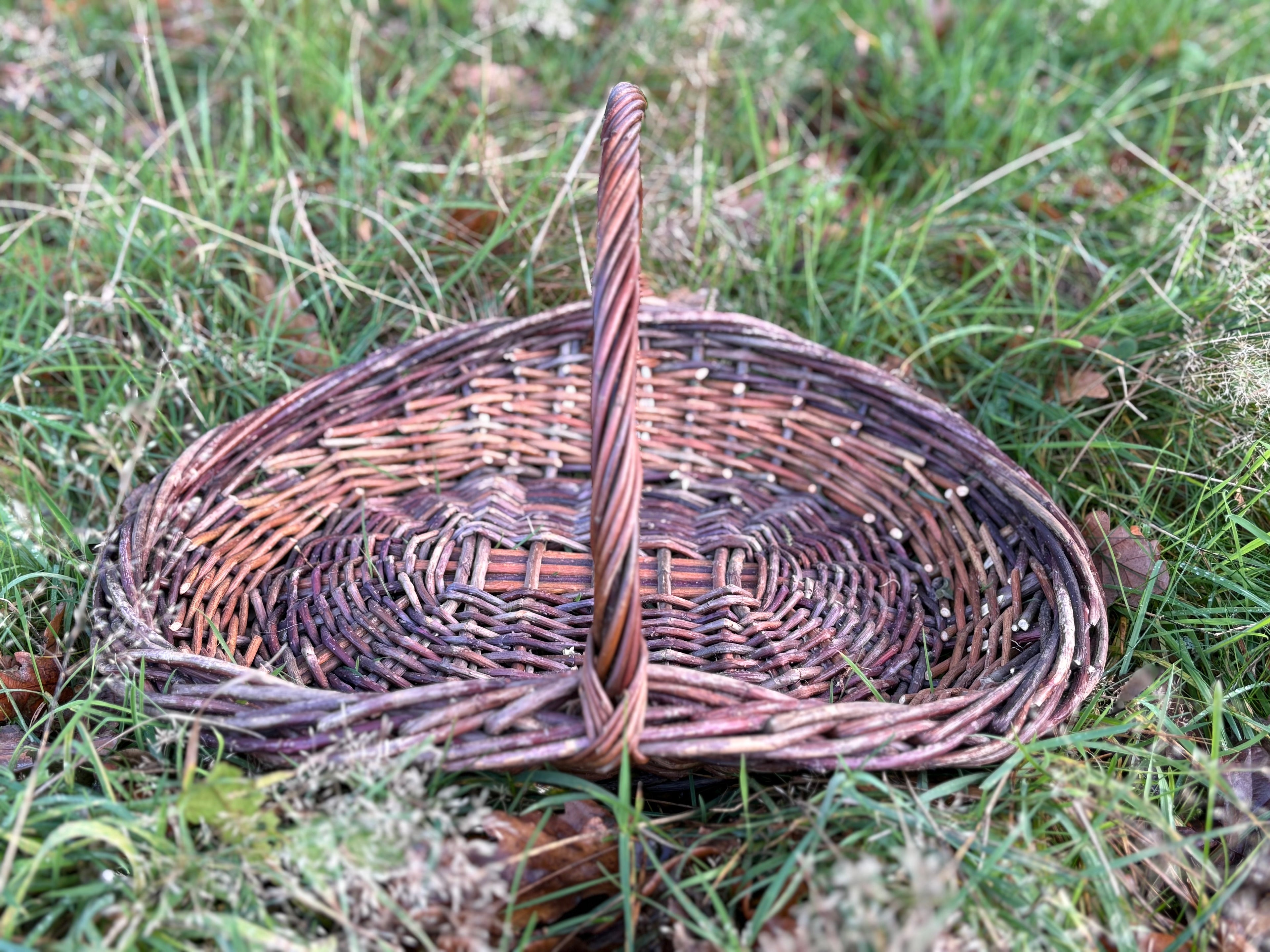 Dogwood and willow trug