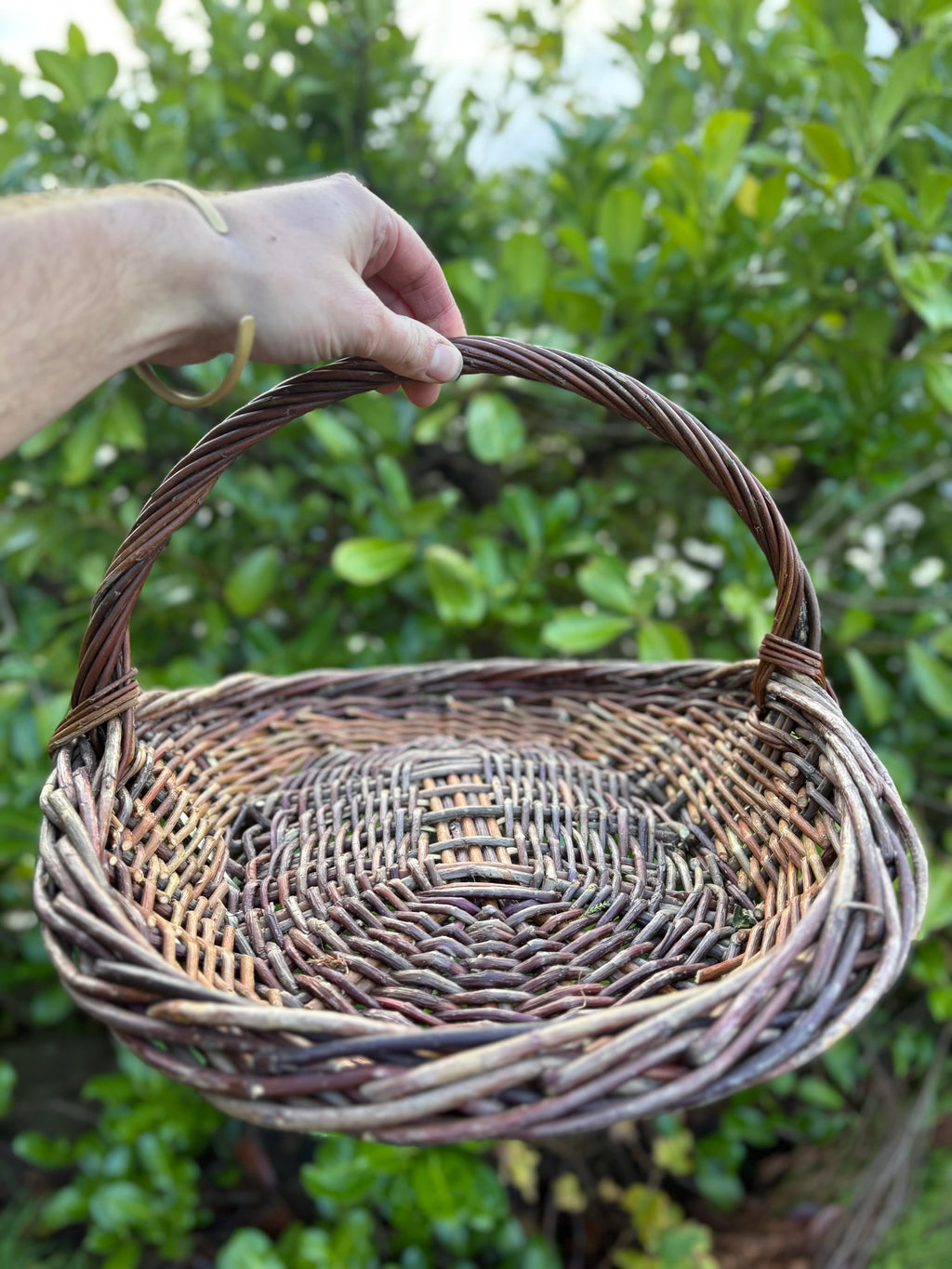 Dogwood and willow trug