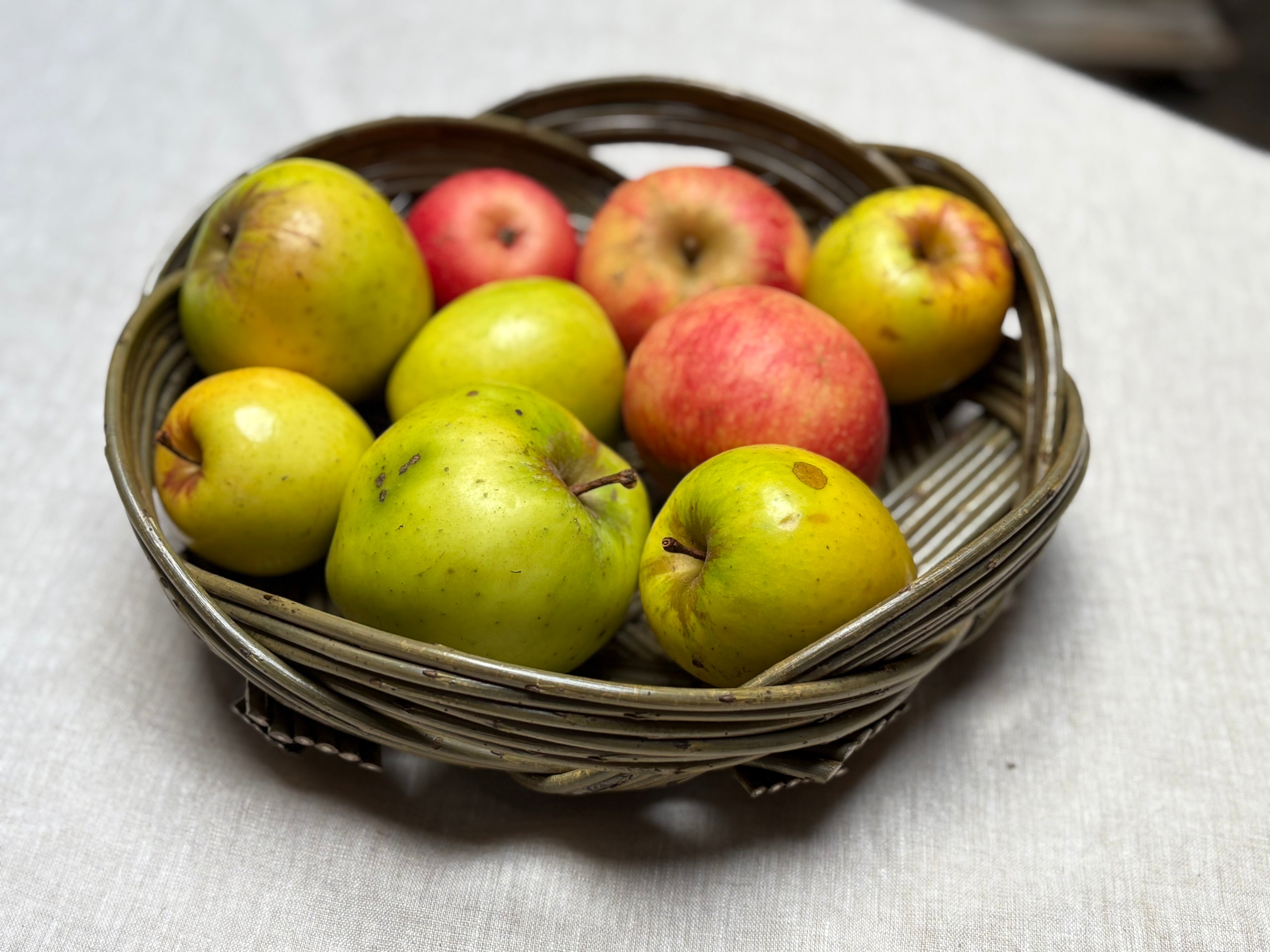 Tatza basket workshop, Sunday 16th November 10am-4pm