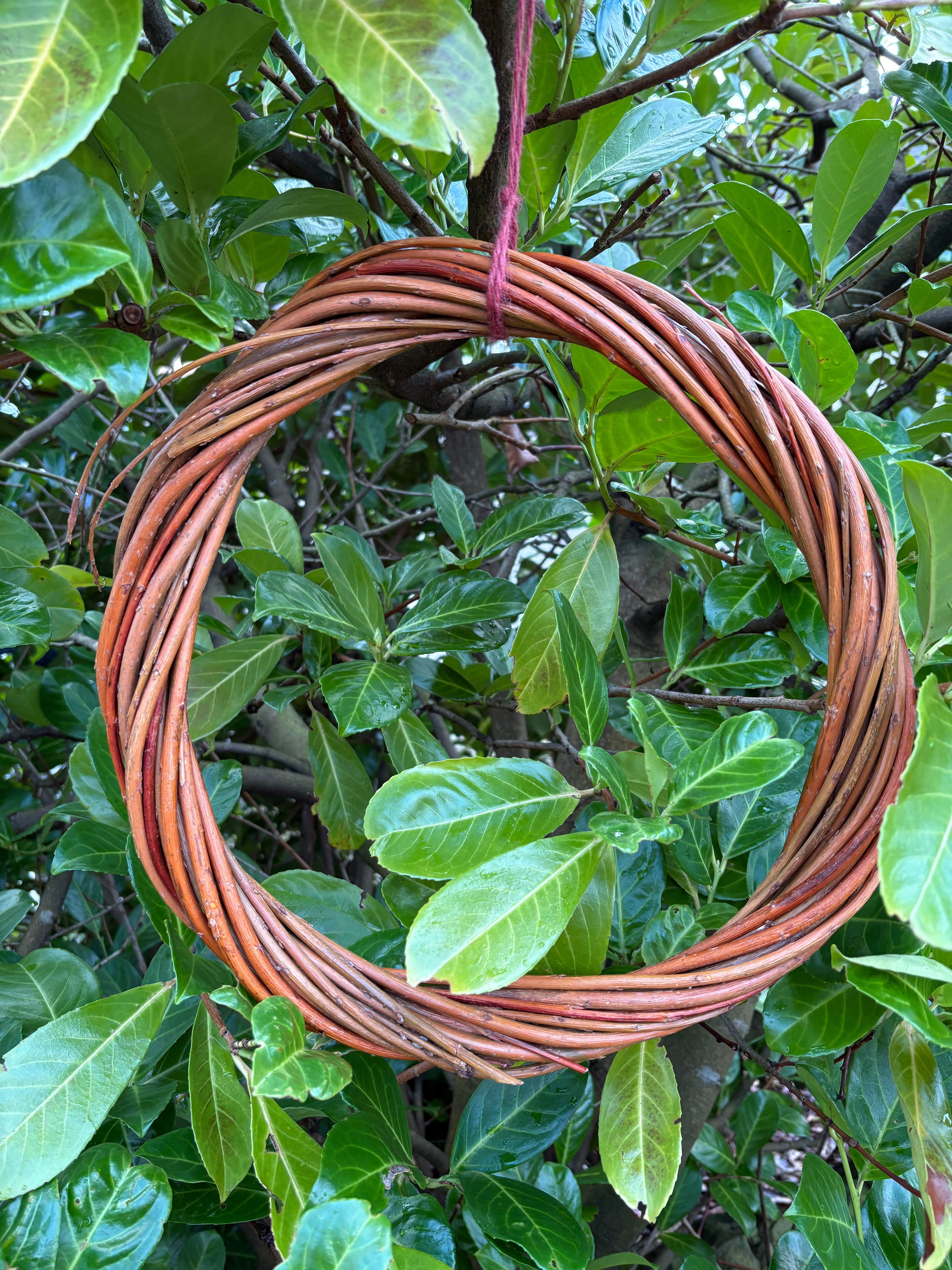 Willow wreath