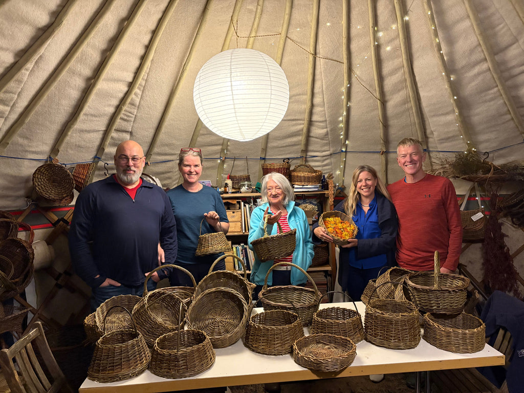 6-week Beginners Basketry Course: Autumn 2026