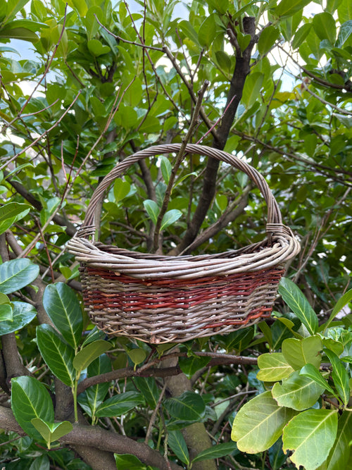 13th-14th June: Weave an oval garden trug workshop, Blanefield