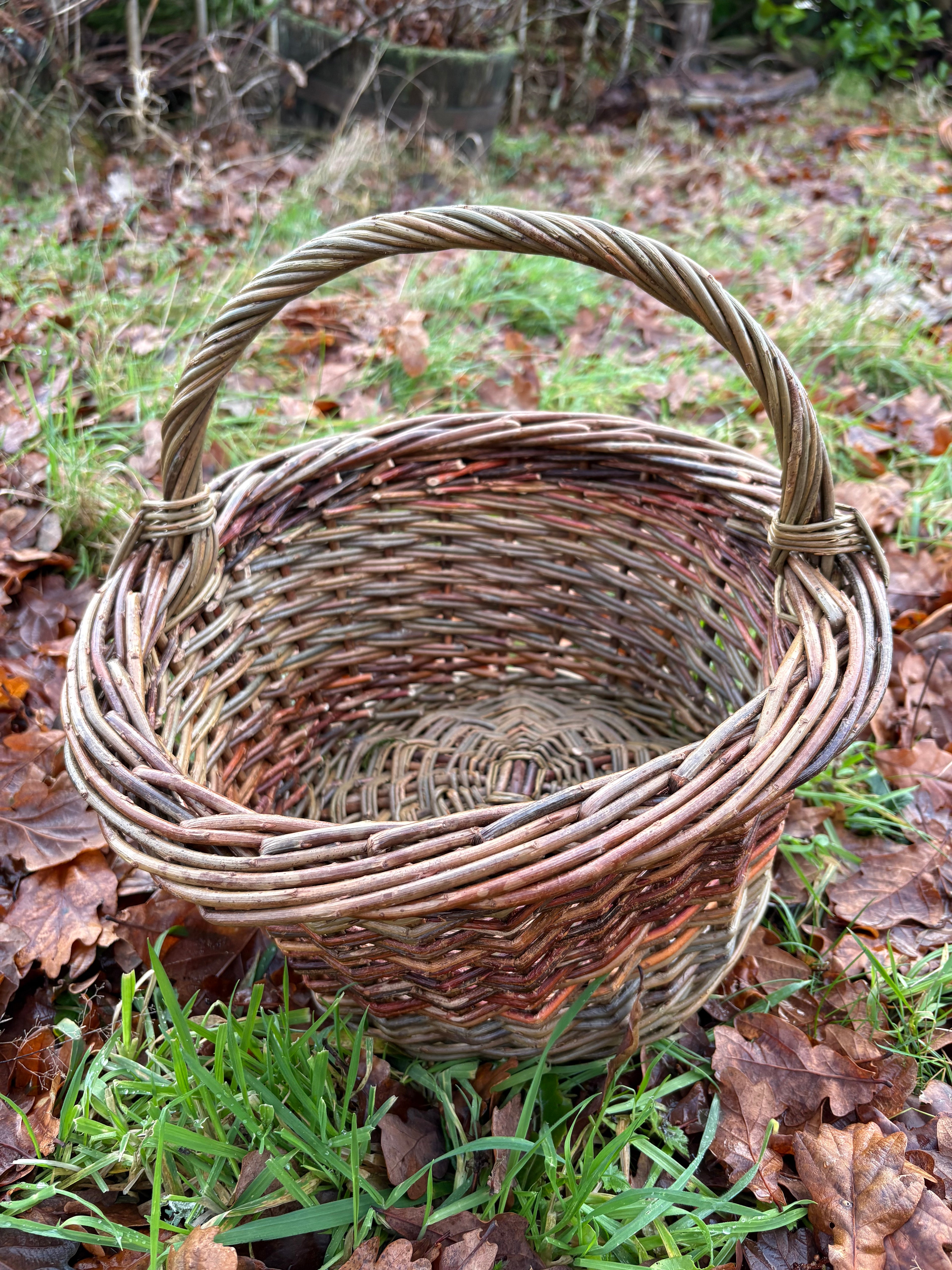 18-19th April: Round foraging basket workshop, Blanefield