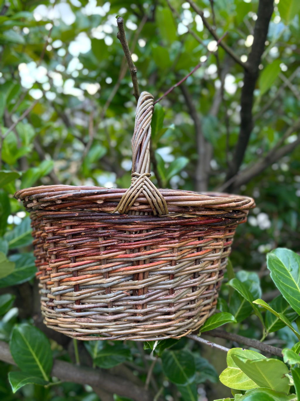 18-19th April: Round foraging basket workshop, Blanefield