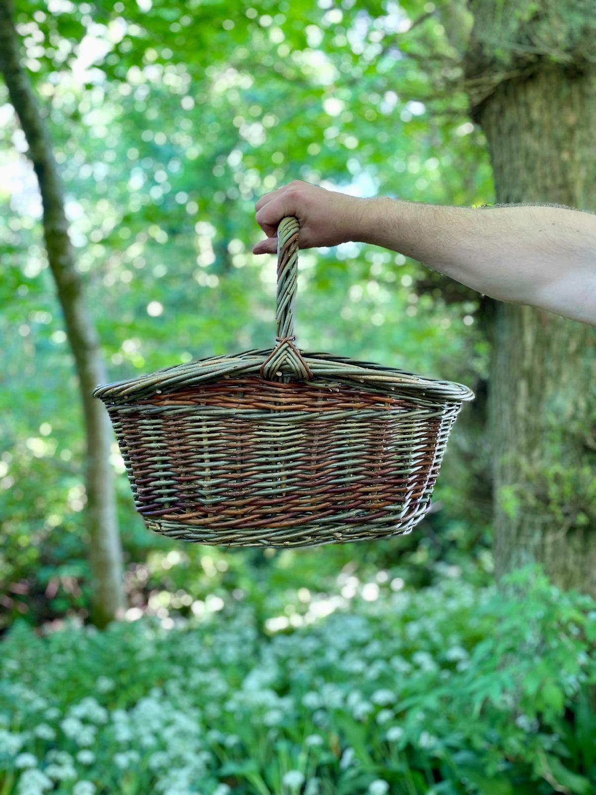 Striped oval forager